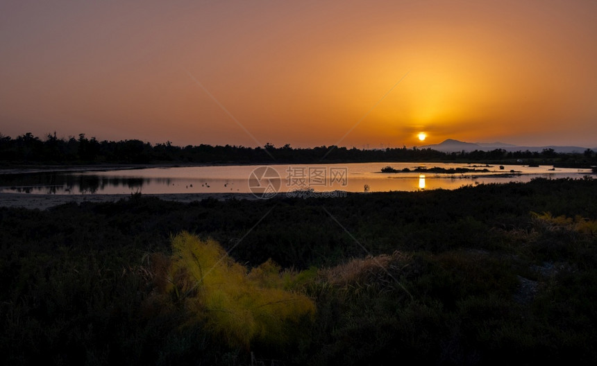 反射景观塞浦路斯拉纳卡盐湖日落太阳和风力涡轮机在远处升起水图片