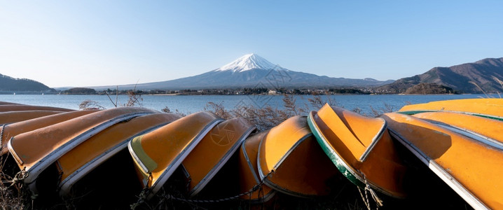 宁静黄色的日本川口子湖黄船和清空天中看到藤山或先生的景象富士图片