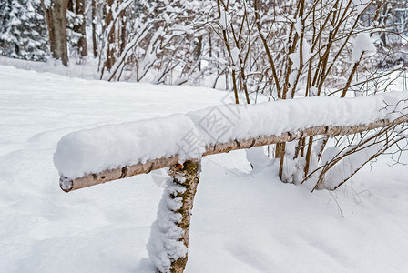 公园中被雪覆盖的木栅栏树森林风景优美图片