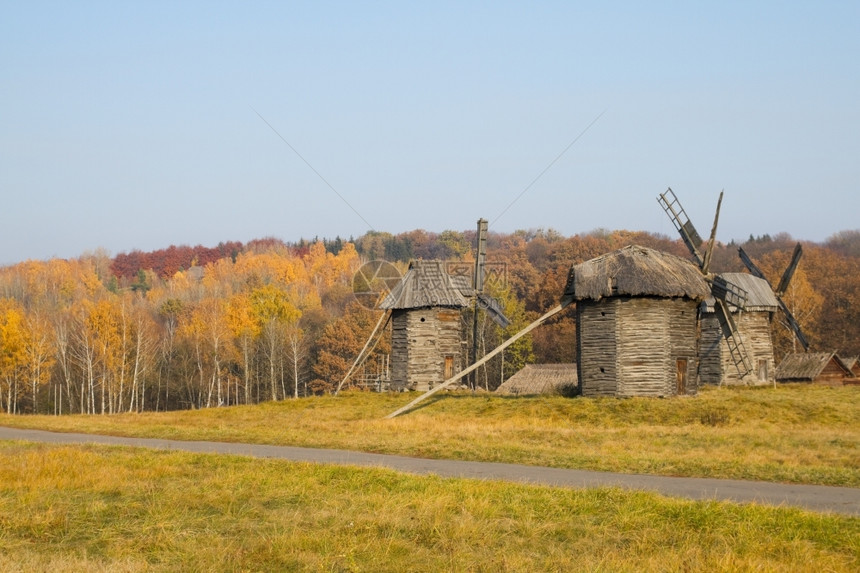 公园磨木头秋天背景中的旧木风车图片