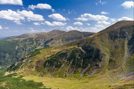 荒野乌克兰喀尔巴阡山脉的科霍诺拉脊绿色树图片
