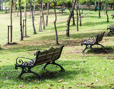 座位宁静自然城市公园草坪的金属板凳图片