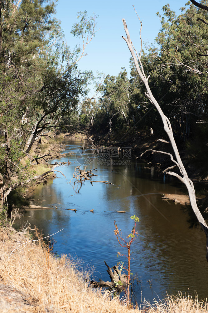 澳大利亚新南威尔士州沃伦附近的Macquarie河明尼斯如画蓝色的图片