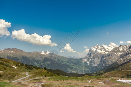 顶峰从瑞士阿尔卑斯山的格林德瓦看瑞士树木谷图片