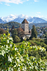 著名的瑞士斯皮埃兹城堡阿尔卑斯山图片