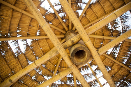 自然邮政由天材料制成的梁是用然材料制成的竹子分日志图片