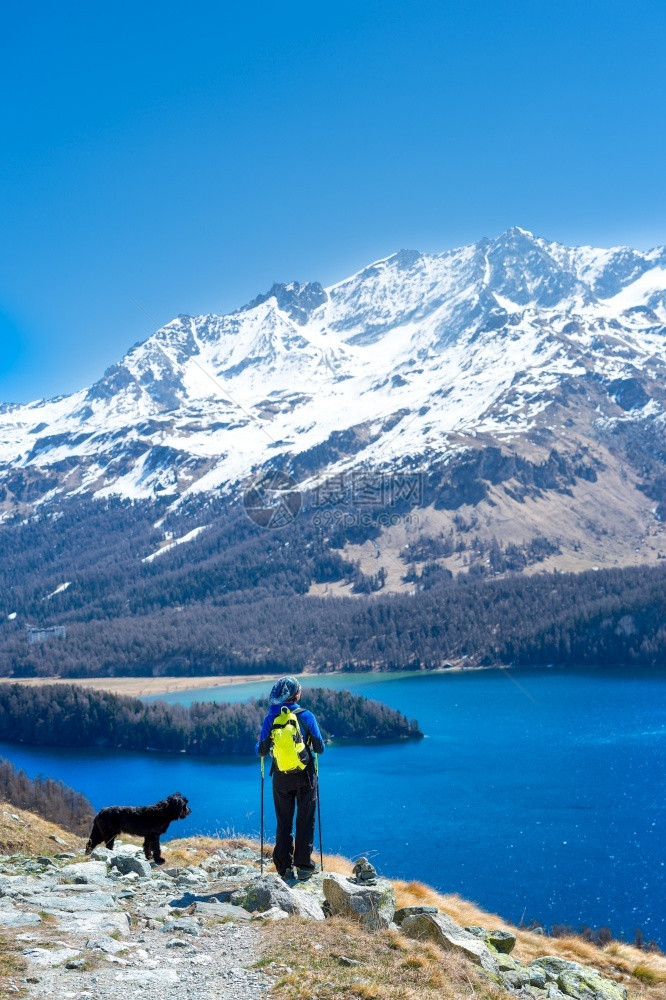 营巡回演出攀登女孩和忠心的狗一起在高山湖上远足图片