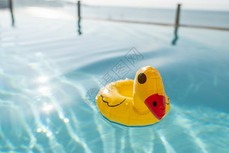 水池黄色的孩子漂浮在蓝水中游泳池的黄金色橡皮鸭图片