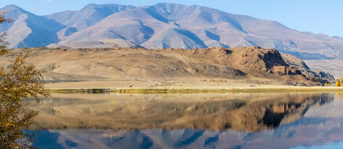 阿尔泰山湖风景全一年中的时间是秋天一年中的时间是秋天明晰森林云图片