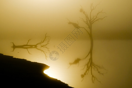 阴霾太阳月亮一棵湖和树的影像日出在背光下图片