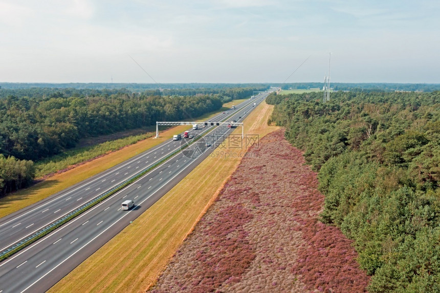 荷兰Veluwe公路A1高速的交通情况荷兰语石南花森林图片