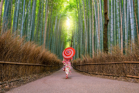 花园植物传统Yukata妇女与红伞在日本京都的青山竹林中丛图片