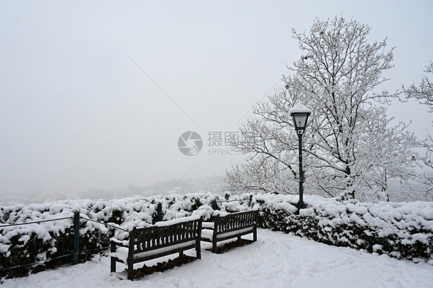 风景优美冰丽的雪冬季自然节概念图片