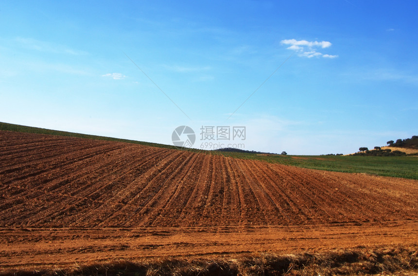 云草农村地貌的耕面积春天图片