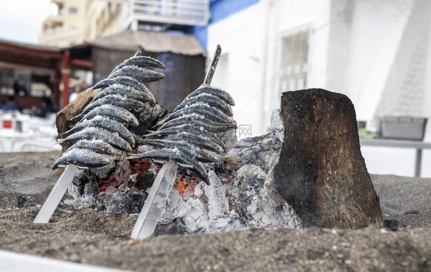 炙烤沙丁鱼串刺在土上传统的串烧图片