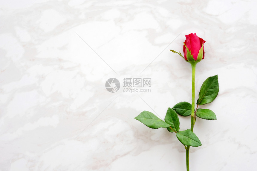 情人节背景模板红玫瑰爱情符号白色大理石背景上带有文本复制空间的白大理石背景平铺展示华丽的曼谷图片