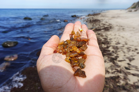 自然颜色老的海边采琥珀手心生海边采高清图片