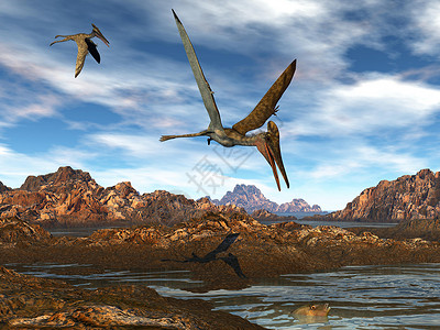 已灭绝生物古生物学强大的翼手龙在日落光下水面上飞行3D渲染翼手龙在水上飞行渲染翼龙设计图片