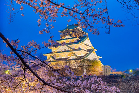 大阪城堡日本樱花满天开历史地标亚洲人图片