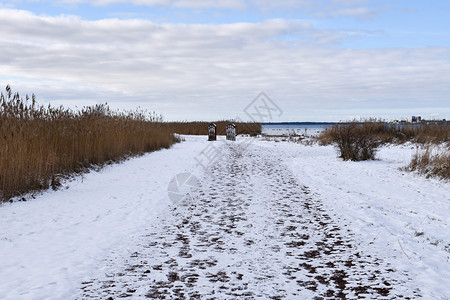人行道库尔曼户外冬季在瑞典群岛奥兰渡过海岸沼泽地的雪步行道图片