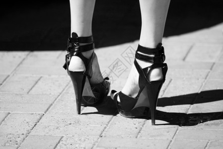 优雅的高跟鞋时尚黑白妇女和图片