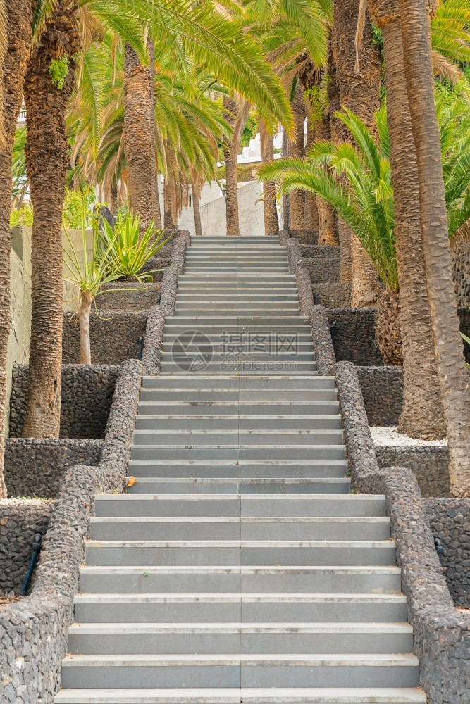 城市西班牙加那利群岛塔内里费加那利群岛西班牙普拉克鲁斯港特内里费加那利群岛和街道上被棕榈树包围的石头楼梯阴影地标图片
