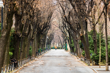 欧洲风景优美花园罗马尼亚首都布加勒斯特Cismigiu公园空小巷图片