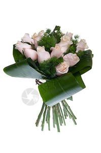 白色背景的粉红玫瑰花束美丽的庆祝植物群浪漫的图片