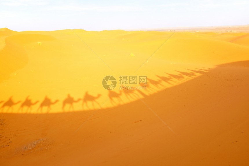 穿越撒哈拉沙漠的骆驼大篷车苹果浏览器尔格夏天图片