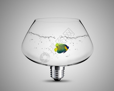 用鱼碗灯泡概念图象制成的灯泡发明营销智力图片