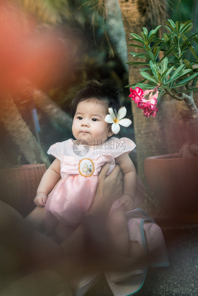树雀斑近身肖像亚洲可爱的有自然光背景女婴种族图片