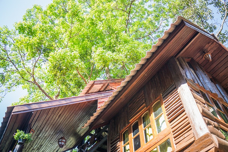 住宅木材热带林屋度假胜地库存照片森林图片