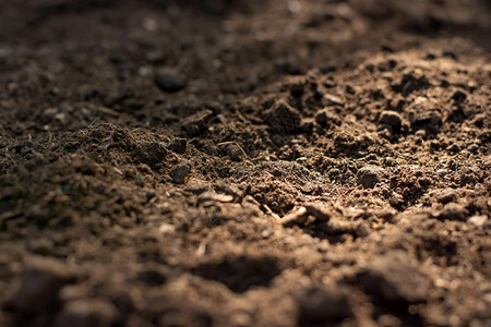 地形腐殖质坏的土壤地背景用于种植的肥料土壤图片