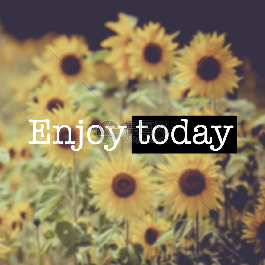 快乐的花海报引人灵感的动机引用享受今天吧向日葵场图片