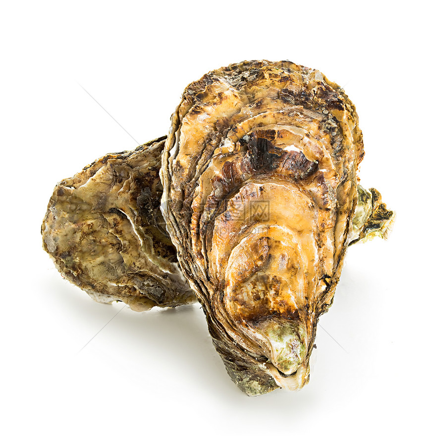 海鲜饮食在白色背景上隔离的牡蛎双壳类图片