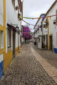 镇老的中世纪葡萄牙高地市的狭小多彩街道城堡图片