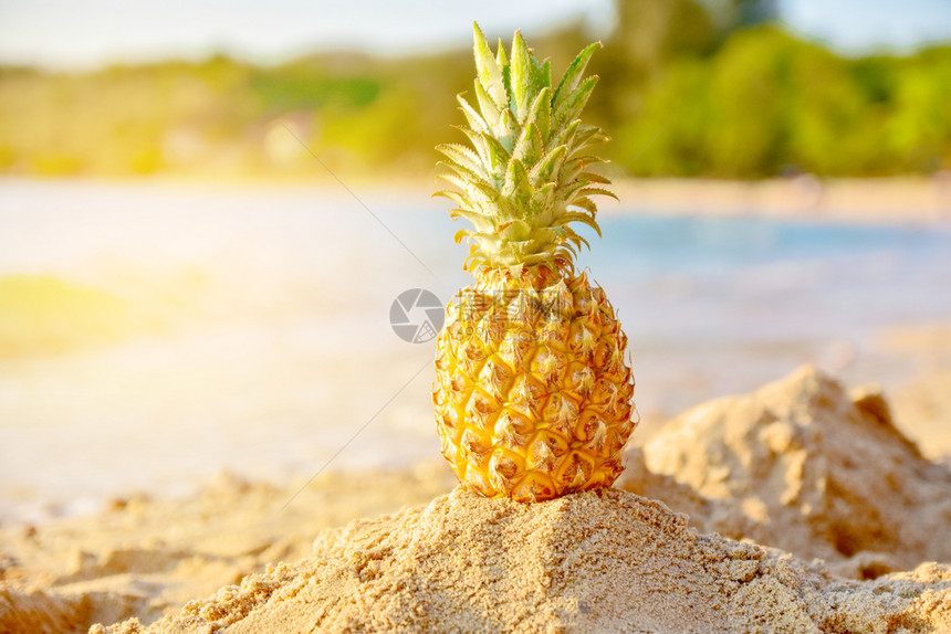 海滩上的菠萝图片