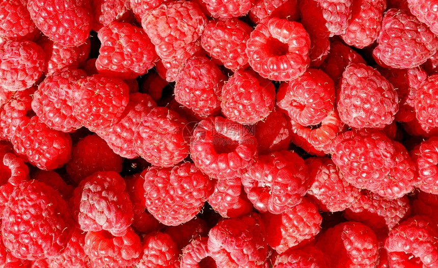 大部分红色和成熟的草莓在阳光下大量闭合供销售背景和纹理近视顶红色成熟的草莓背景和纹理农业甜的图片