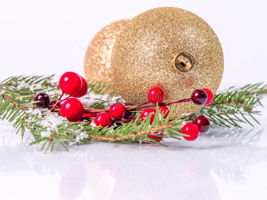 寒冷的庆典圣诞球树枝和红莓的在白色背景上圣诞球在fir树枝上雪图片