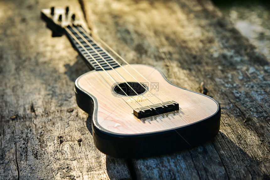 女士玩具音响吉他关于旧木本背景近身白色的鸣禽图片