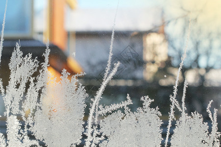 窗户屋玻璃冬上的霜冻模式当代图片
