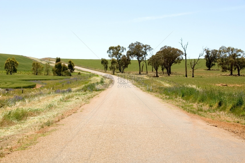 澳大利亚西南新威尔士州一条孤独的乡村公路草场景平静的图片