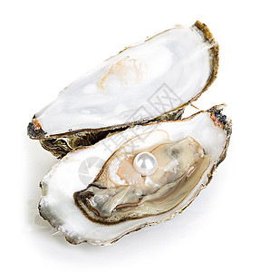 珍珠牡蛎图片