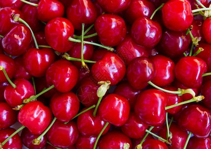 多汁的茎莫罗佐娃湿熟的红樱桃可以用作背景图片