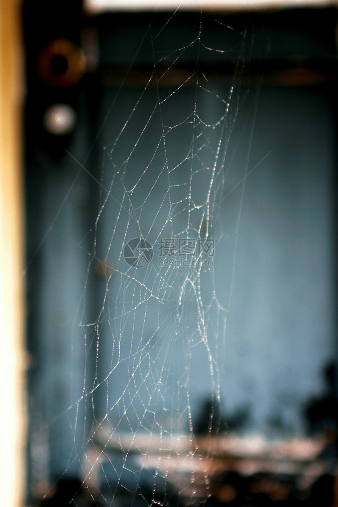 蜘蛛网背景有蓝门的蜘蛛网般陷阱系统图片