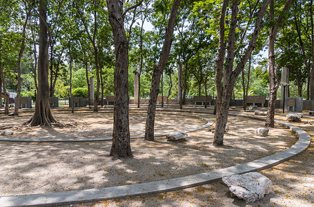 位于城市公园的树下现代混凝土两栖花剧场景观叶子座位图片