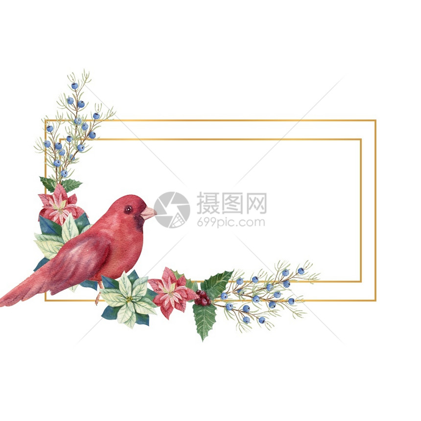 优质的钟金色几何框架包括冬季dcor和红鸟水彩圣诞插图金色几何框架冬季dcr和红鸟水彩画插图植物学图片