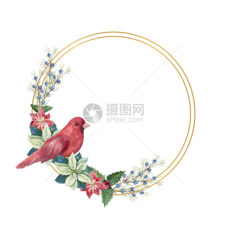 自然金色几何框架包括冬季dcor和红鸟水彩圣诞插图金色几何框架冬季dcr和红鸟水彩画插图复古的动物图片