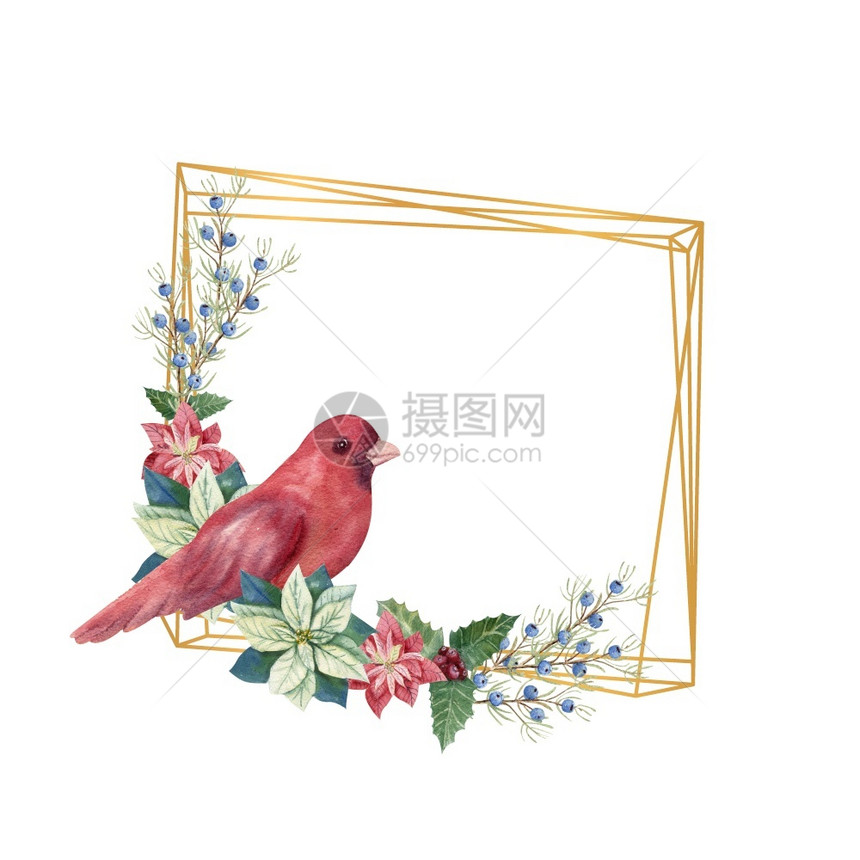 甘蔗金色几何框架包括冬季dcor和红鸟水彩圣诞插图金色几何框架冬季dcr和红鸟水彩画圣诞节插图白色的植物图片