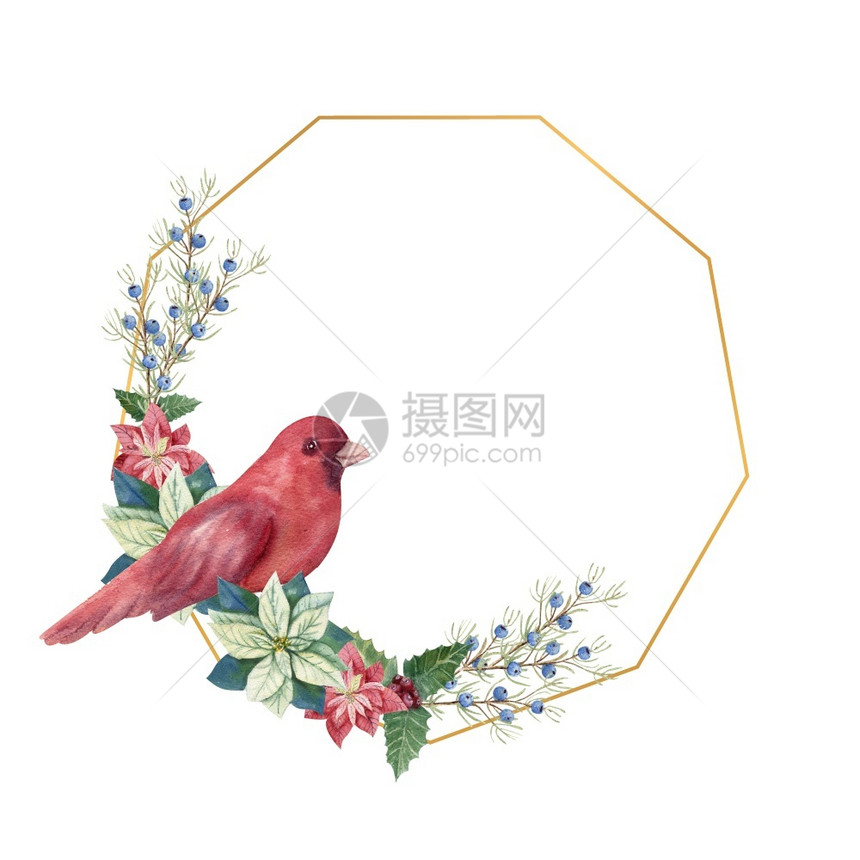 复古的金色几何框架包括冬季dcor和红鸟水彩圣诞插图金色几何框架冬季dcr和红鸟水彩画插图金的圆圈图片